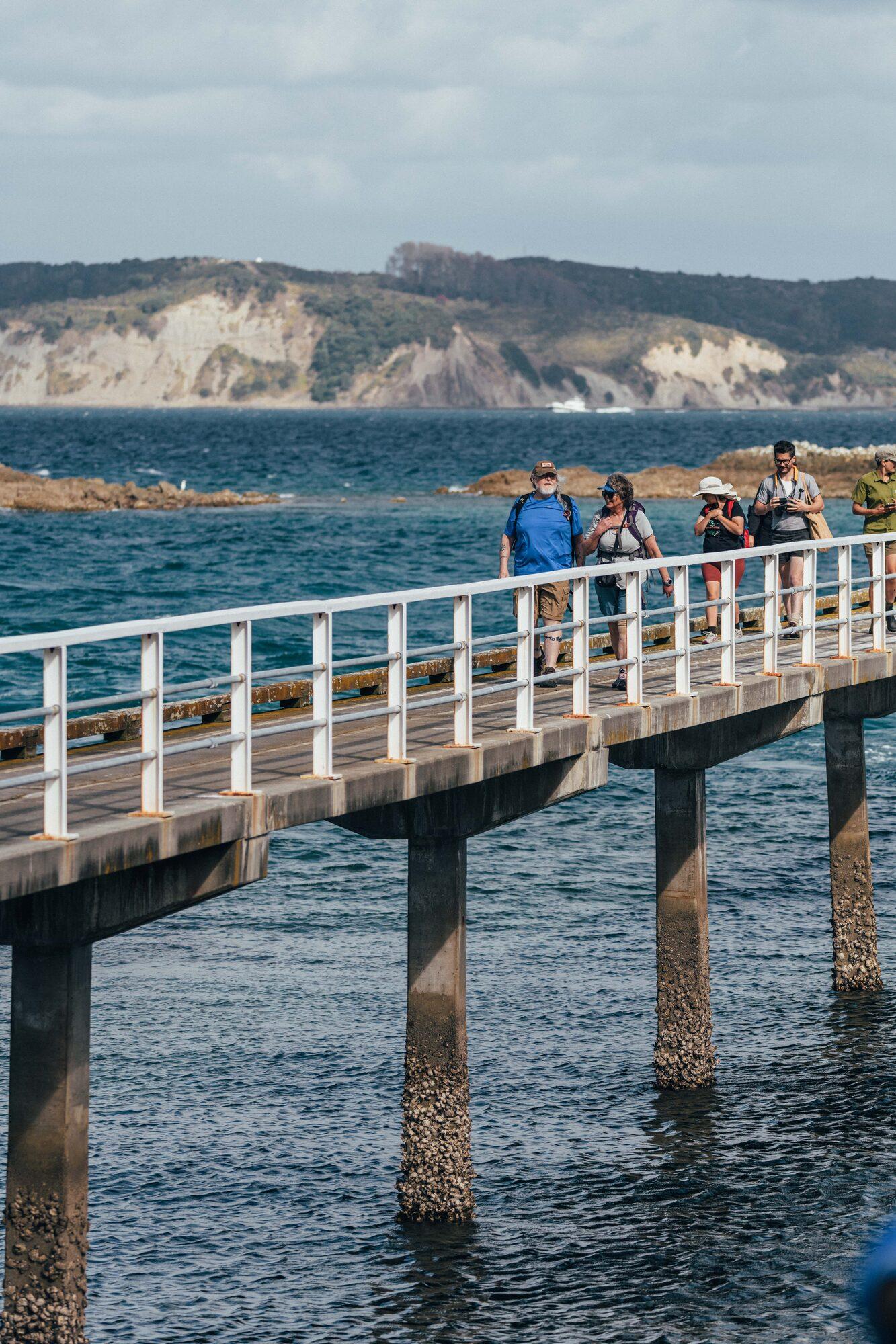 A wharf reaching into the sea at a wildlife sanctuary