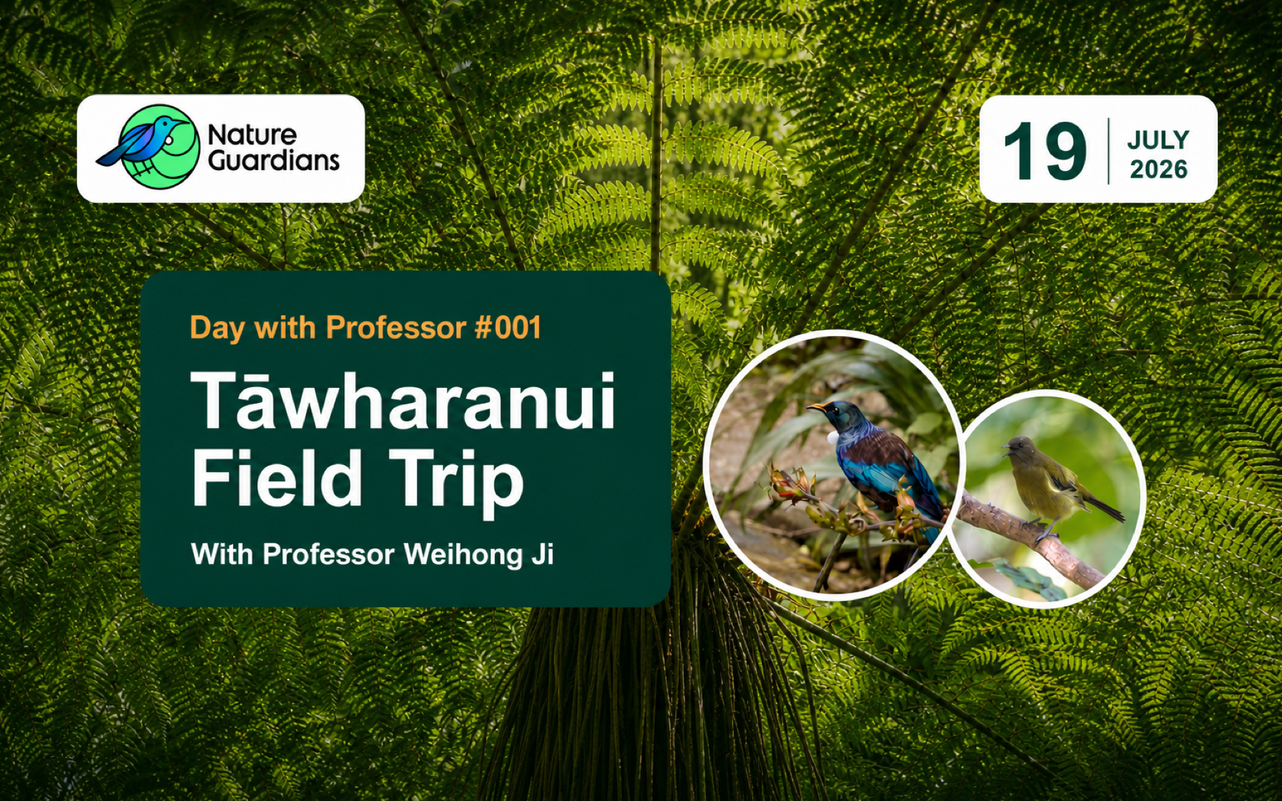 Day with Professor #001｜Tāwharanui Field Trip